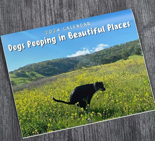 2024 Dog Poop Calendars, Funny Dog Calendars, And Funny Gifts For Friends